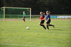 IMG-20200914-WA0004