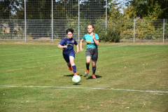 IMG-20200921-WA0015